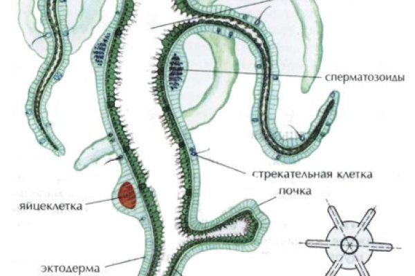 Кракен это даркнет маркетплейс