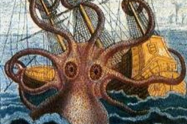 Kraken 11at