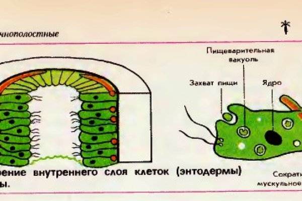 Новый адрес кракен