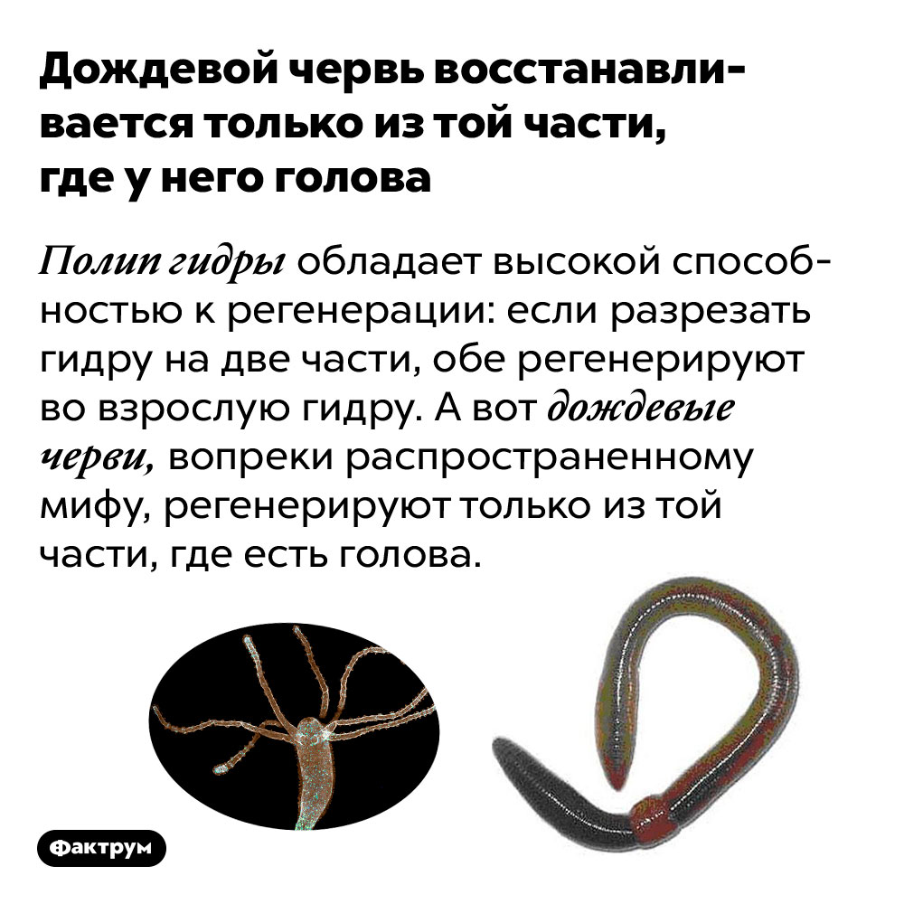 Кракен сайт официальный kraken clear com